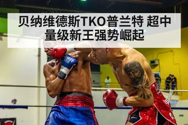 boxer knockout punch（World Cup tickets）